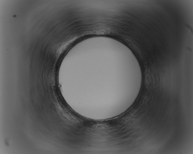 X0000103310536200809261339