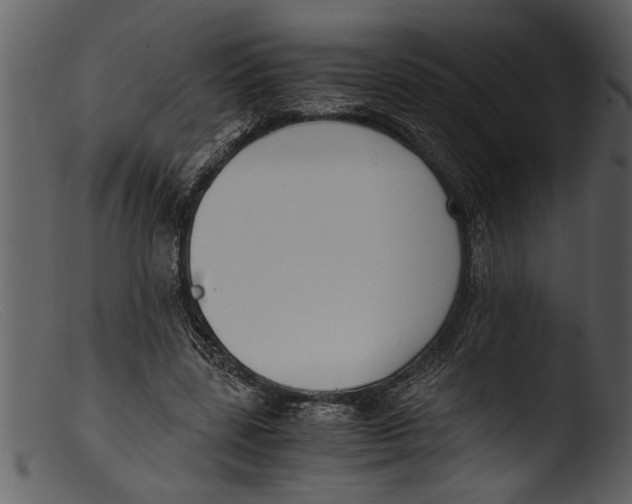 X0000103310539200809261339