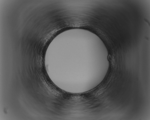 X0000103310540200809261339