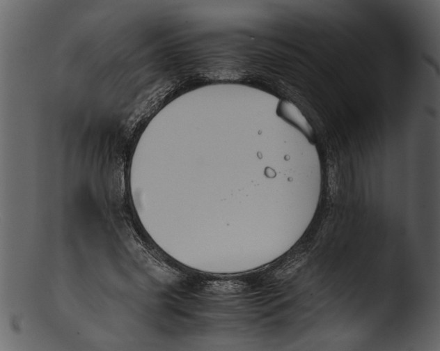 X0000103310541200809261339