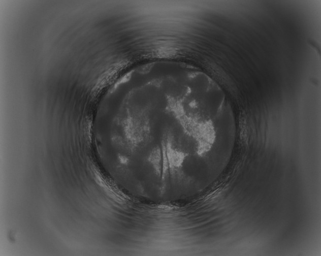 X0000103310542200809261339