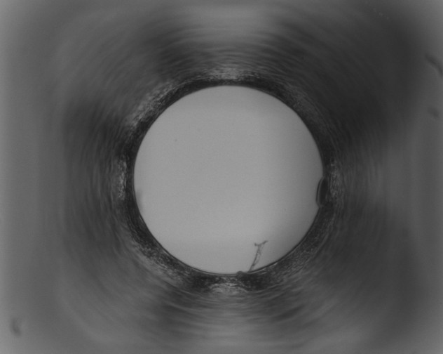 X0000103310544200809261339