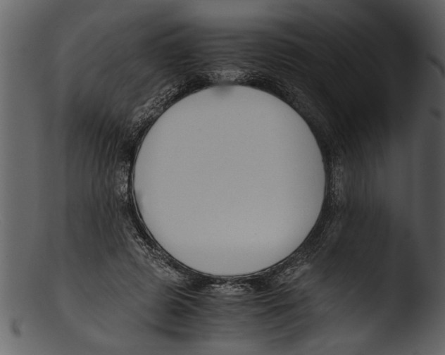 X0000103310545200809261339