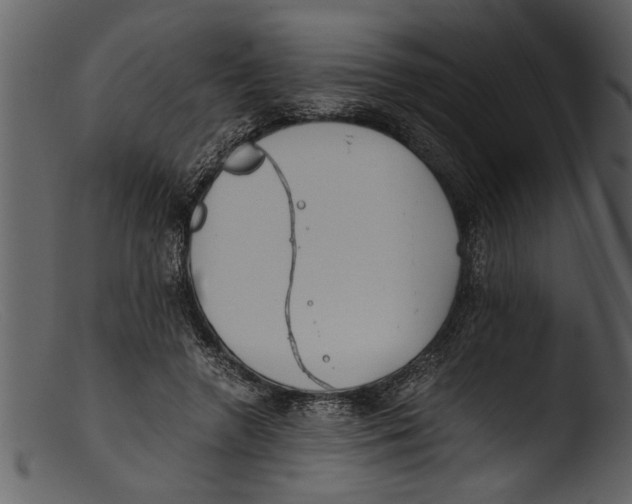 X0000103310546200809261339