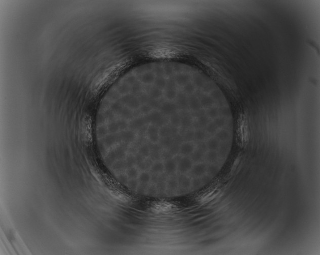 X0000103310547200809261339