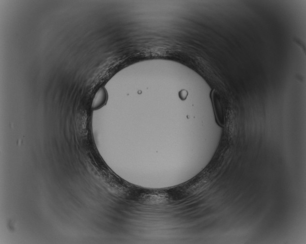 X0000103310548200809261339