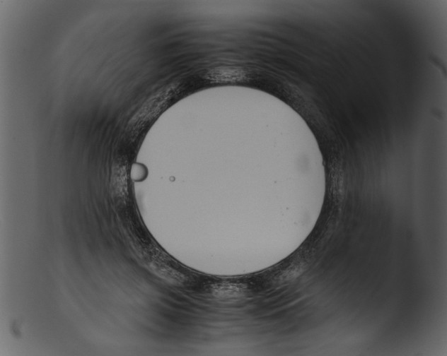 X0000103310549200809261339