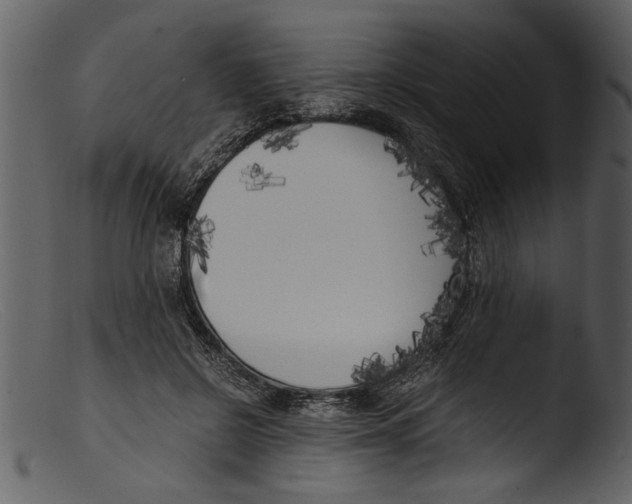 X0000103310550200809261339