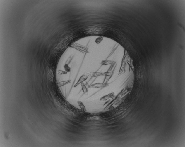 X0000103310551200809261339
