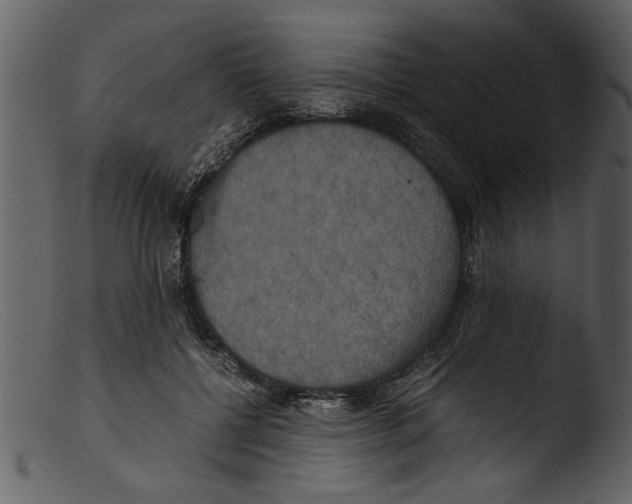 X0000103310552200809261339