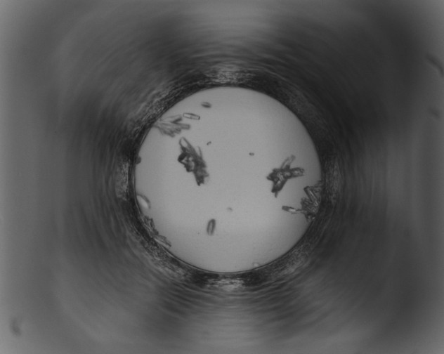 X0000103310554200809261339