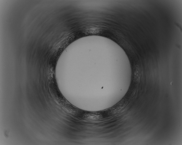 X0000103310555200809261339