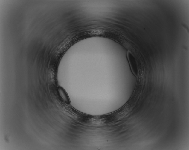 X0000103310556200809261339