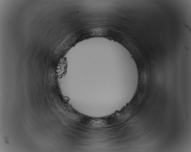 X0000103310557200809261339