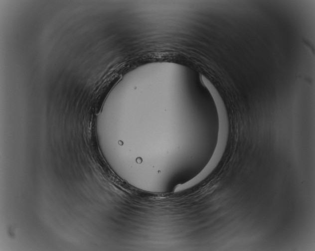 X0000103310558200809261339