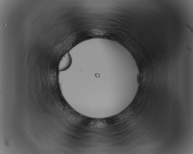 X0000103310559200809261339