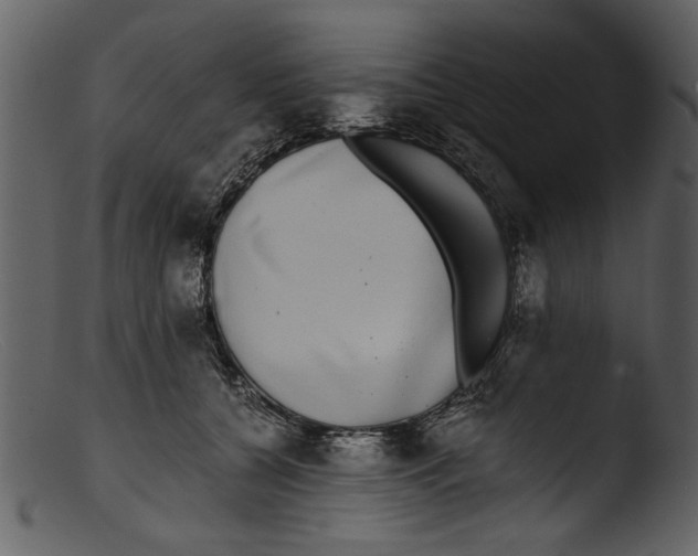 X0000103310560200809261339