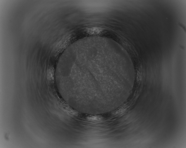 X0000103310561200809261339