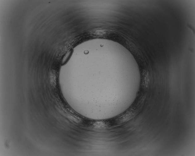 X0000103310562200809261339