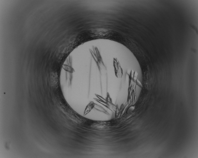 X0000103310563200809261339
