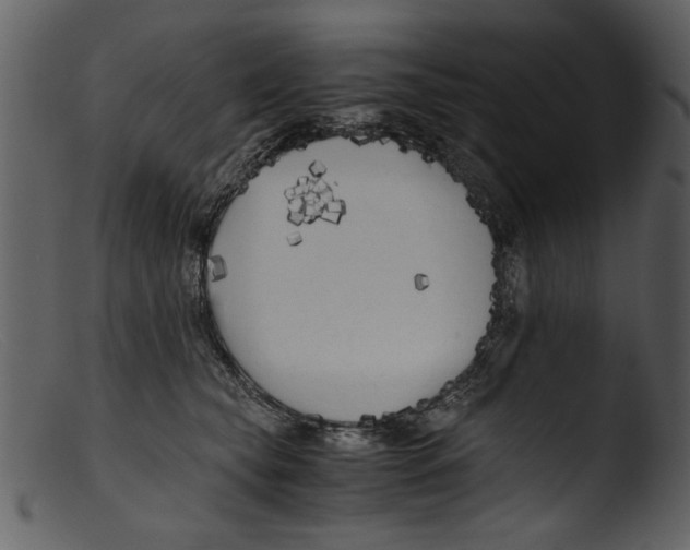 X0000103310565200809261339