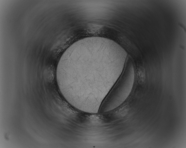 X0000103310566200809261339