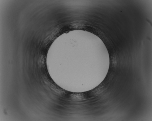 X0000103310567200809261339