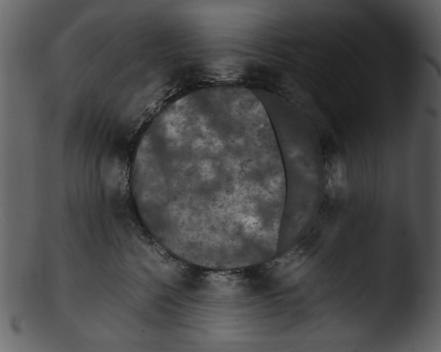 X0000103310568200809261339