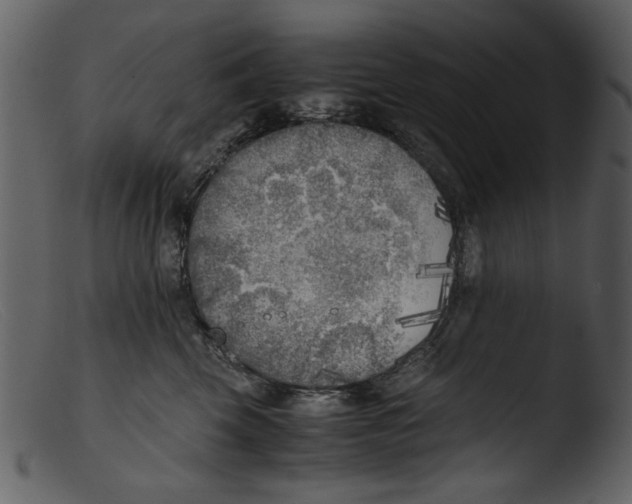 X0000103310569200809261339