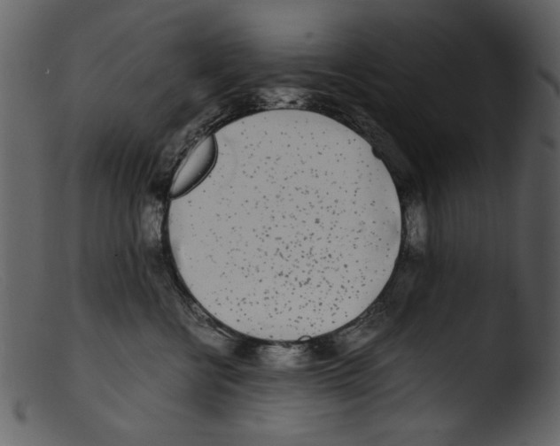 X0000103310570200809261339