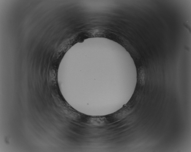 X0000103310571200809261339