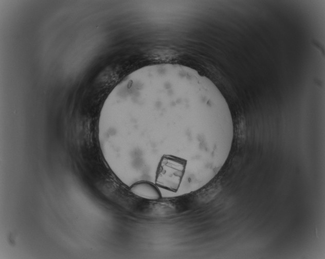 X0000103310572200809261339