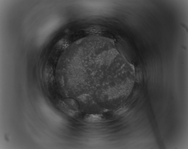 X0000103310573200809261339