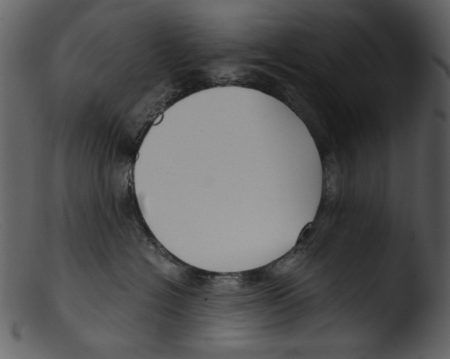 X0000103310574200809261339