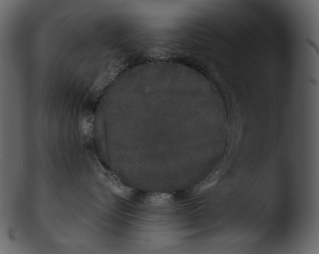 X0000103310576200809261340