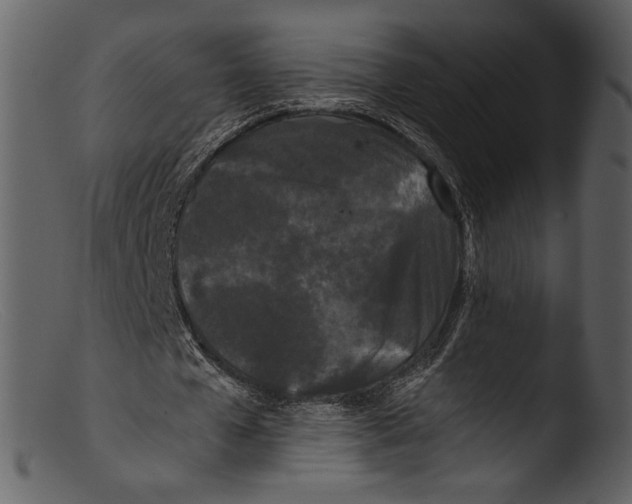 X0000103310577200809261339