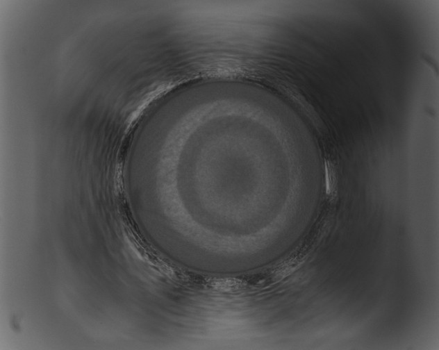 X0000103310579200809261339