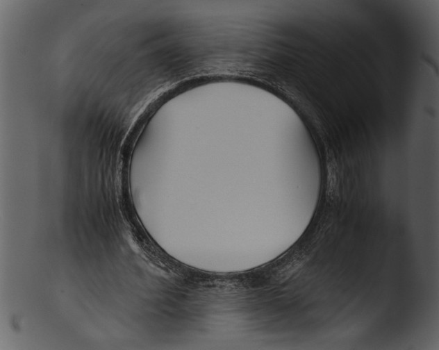 X0000103310580200809261339