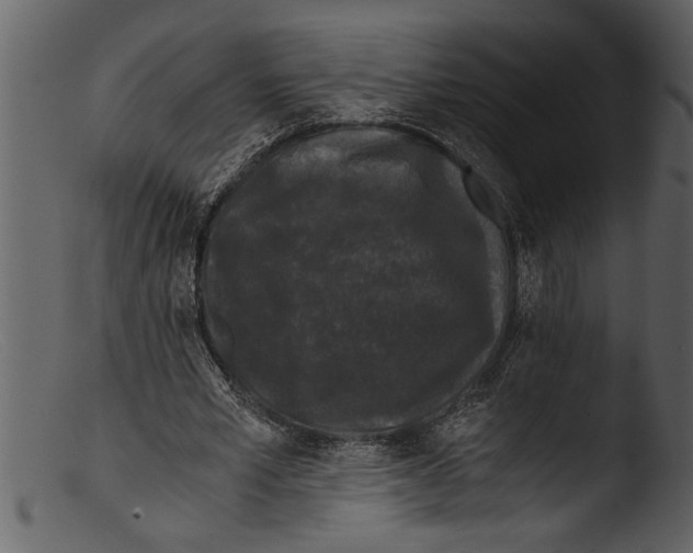 X0000103310581200809261339