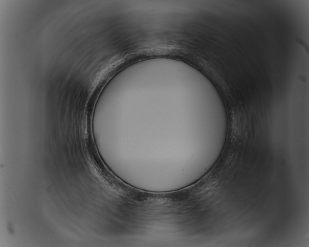 X0000103310582200809261339