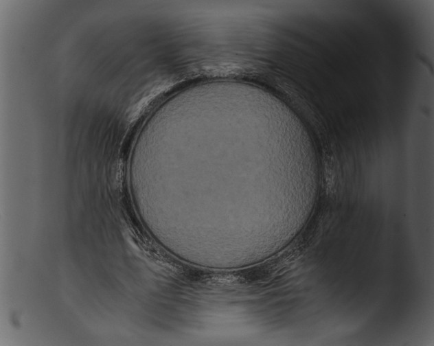 X0000103310583200809261339