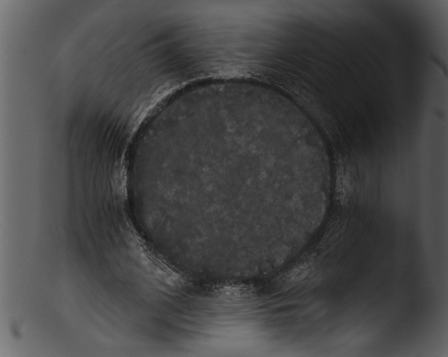 X0000103310584200809261339