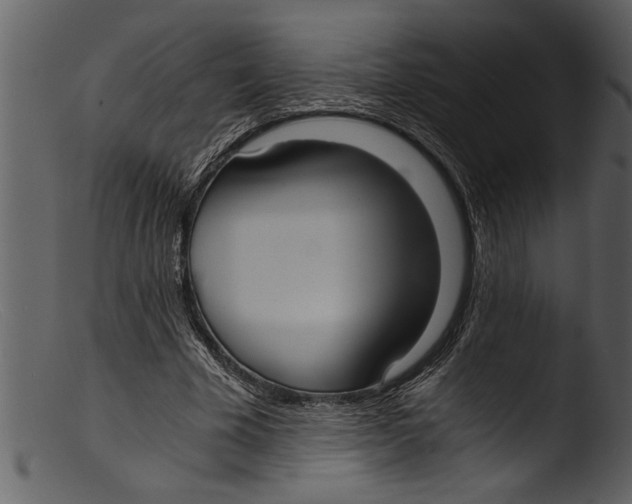 X0000103310585200809261339