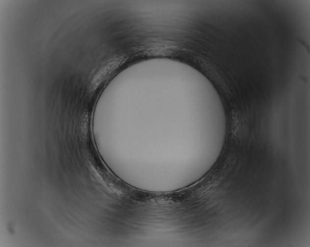 X0000103310586200809261339