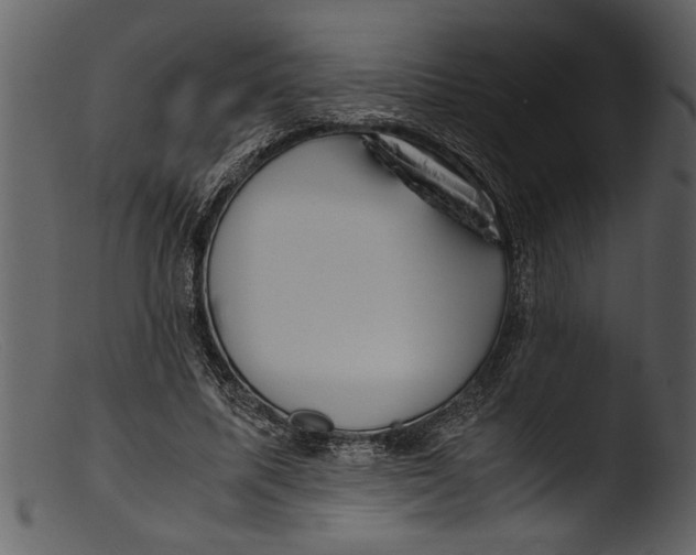 X0000103310587200809261339