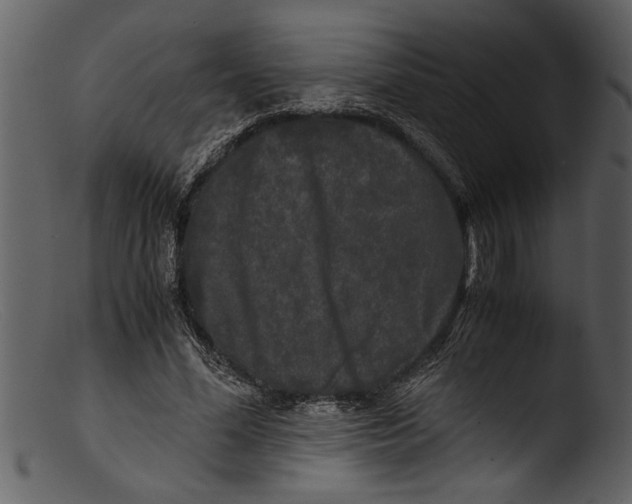 X0000103310588200809261339