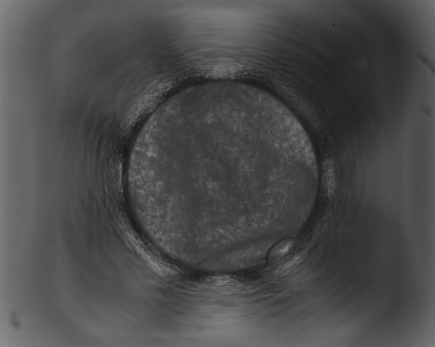 X0000103310589200809261339