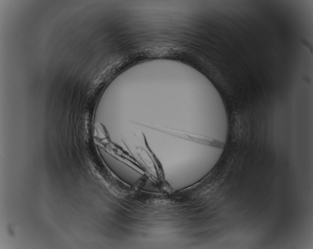 X0000103310590200809261339