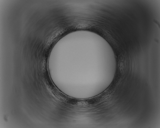 X0000103310591200809261339