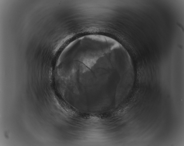 X0000103310592200809261339